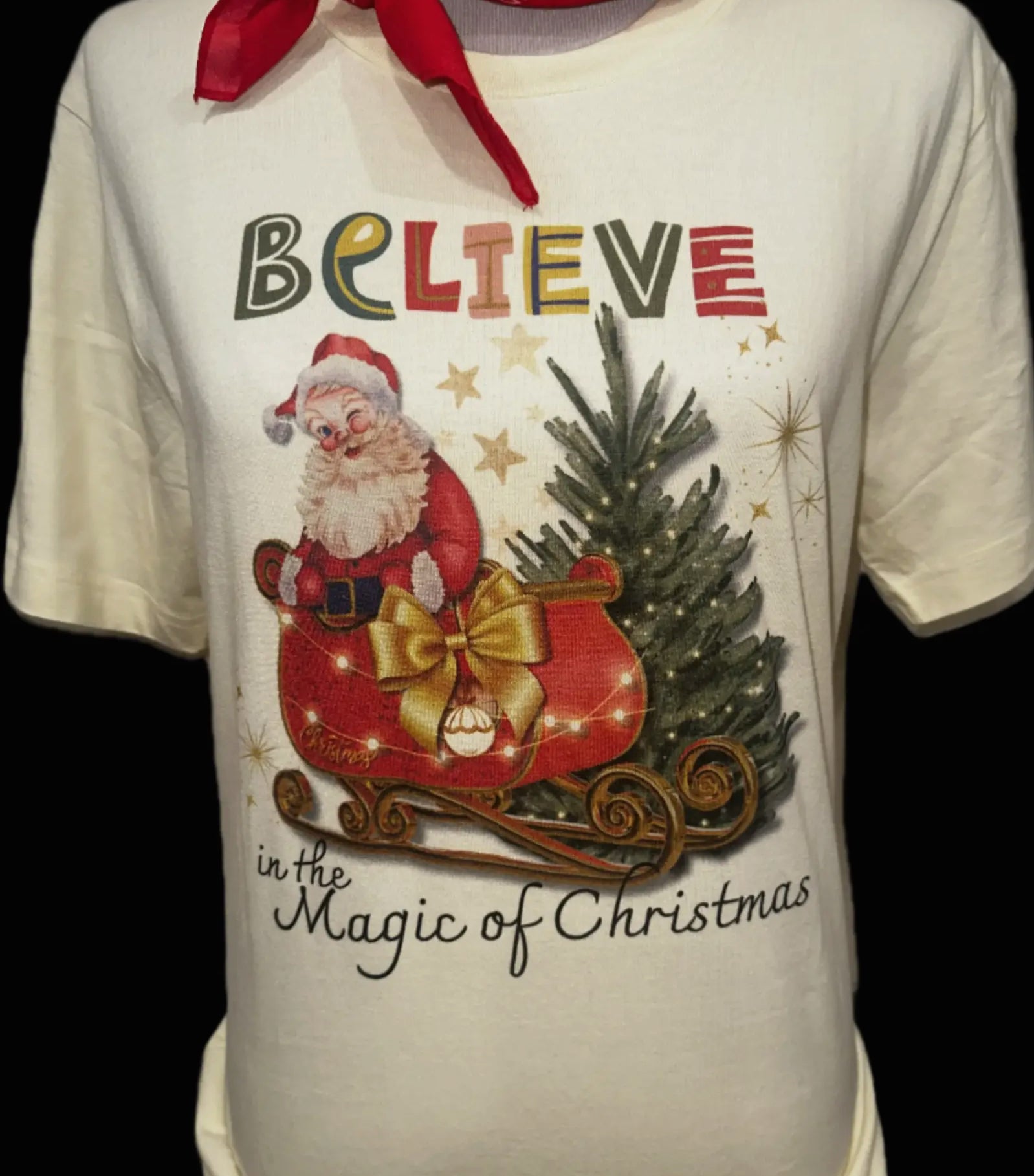 Believe in the Magic of Christmas